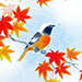 Aso Hayashi Gallery